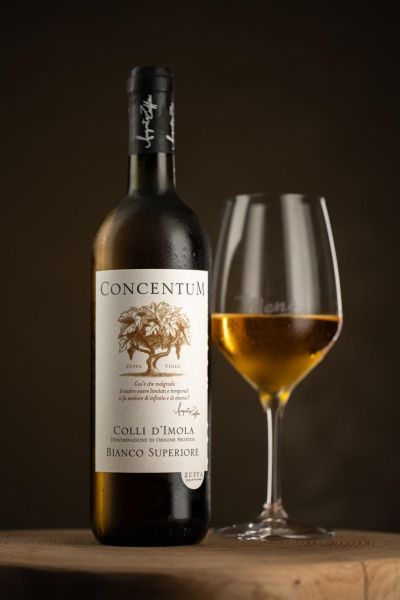 Concentum | Albana